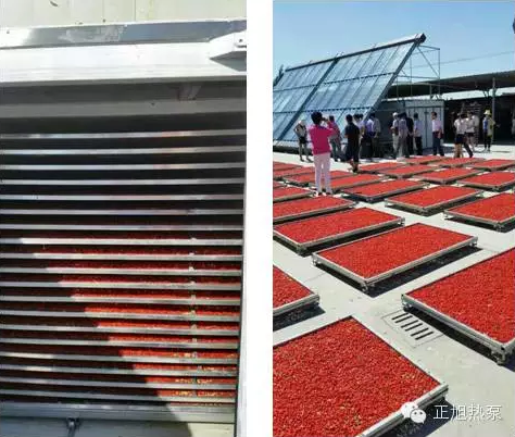 枸杞熱泵烘干機(jī)效果 枸杞熱泵烘干機(jī)效果