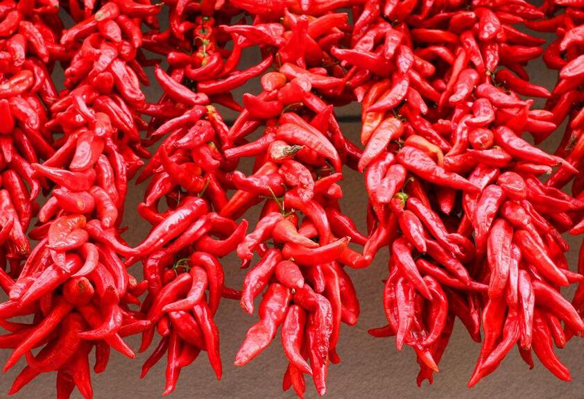 烘干熱泵 烘干熱泵