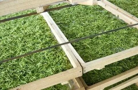 熱泵烘干茶葉2 熱泵烘干茶葉2