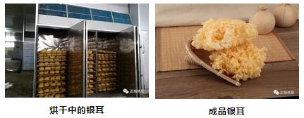 銀耳熱泵烘干1 銀耳熱泵烘干1