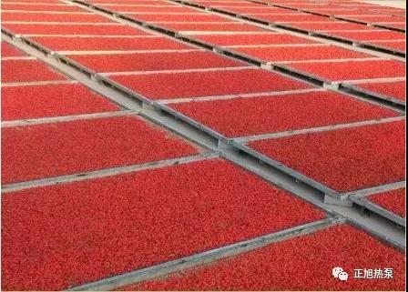 熱泵烘干枸杞項目 熱泵烘干枸杞項目