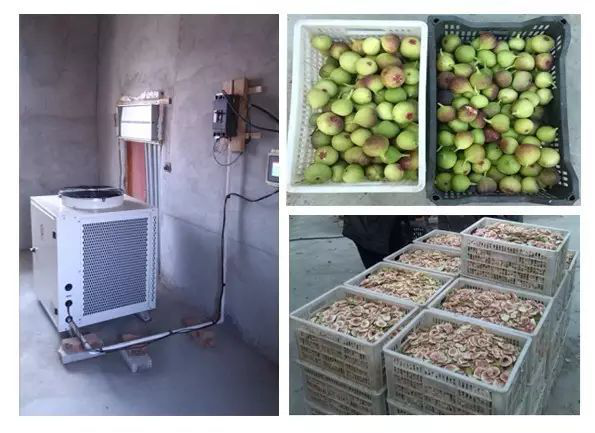 無花果熱泵烘干機 無花果熱泵烘干機