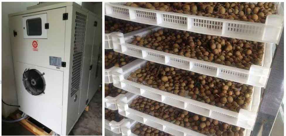 桂圓熱泵烘干機工藝 桂圓熱泵烘干機工藝