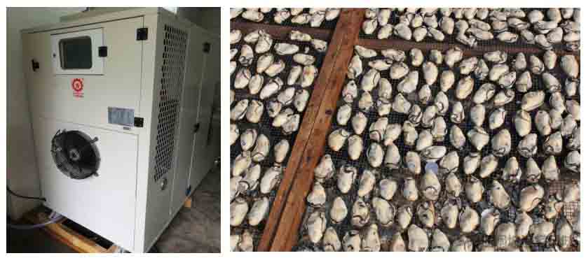 生蠔熱泵烘干機 生蠔熱泵烘干機