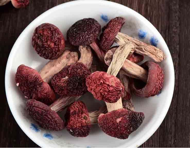 紅菇烘干機(jī)組圖 紅菇烘干機(jī)組圖