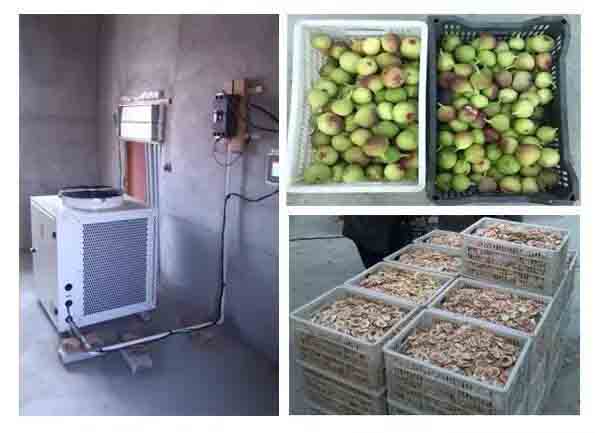 無(wú)花果低溫?zé)岜煤娓蓹C(jī)圖 無(wú)花果低溫?zé)岜煤娓蓹C(jī)圖