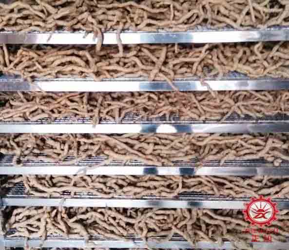 巴戟天熱泵烘干工藝(烘干時(shí)間和烘干溫度) 巴戟天熱泵烘干工藝(烘干時(shí)間和烘干溫度)