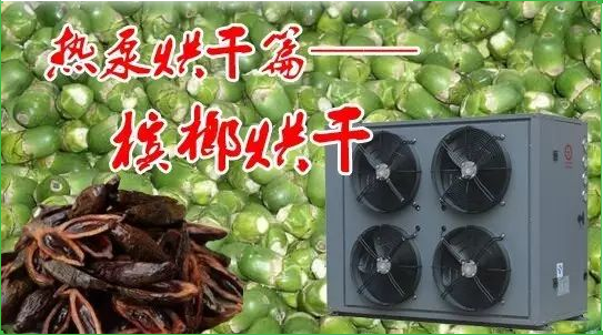 揭開檳榔烘干的面紗 揭開檳榔烘干的面紗