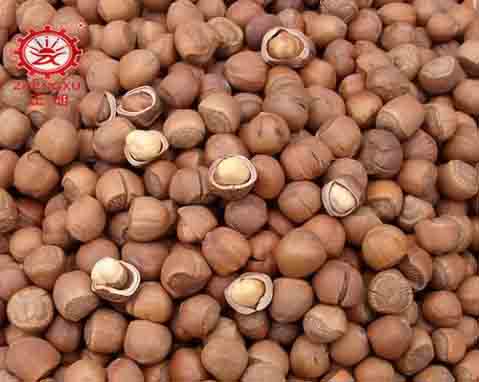 正旭榛子烘干工藝及烘干設(shè)備 正旭榛子烘干工藝及烘干設(shè)備