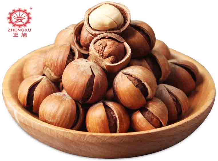 正旭榛子烘干工藝及烘干設(shè)備 正旭榛子烘干工藝及烘干設(shè)備