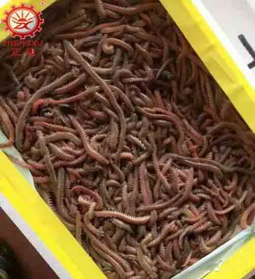 海產(chǎn)品烘干機(jī)廠家和烘干設(shè)備價(jià)格 海產(chǎn)品烘干機(jī)廠家和烘干設(shè)備價(jià)格