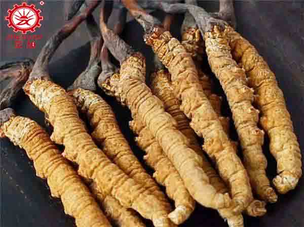 空氣能蟲草烘干會(huì)影響效果嗎