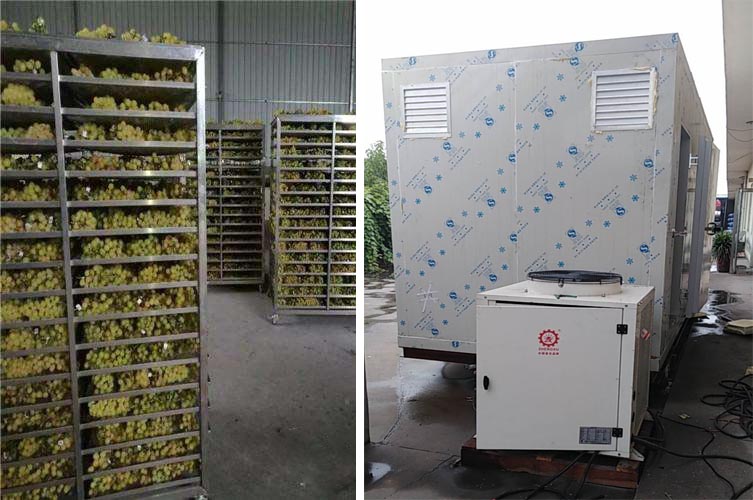 空氣能葡萄熱泵烘干機 空氣能葡萄熱泵烘干機