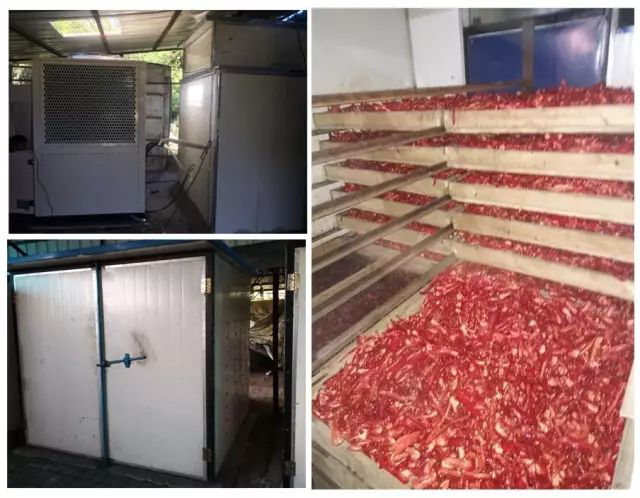 空氣能辣椒熱泵烘干機案例 空氣能辣椒熱泵烘干機案例