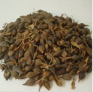 連翹熱泵烘干工藝揭秘，烘干廠家「工藝分享」