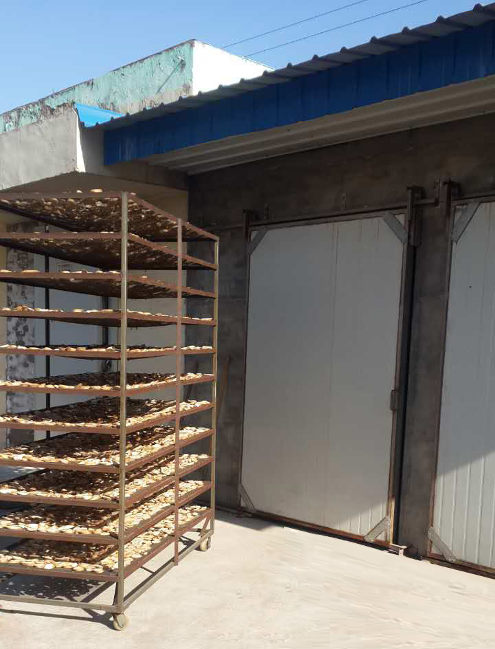 河北聯(lián)興佳圭公司項回、芽球玉蘭烘干項目